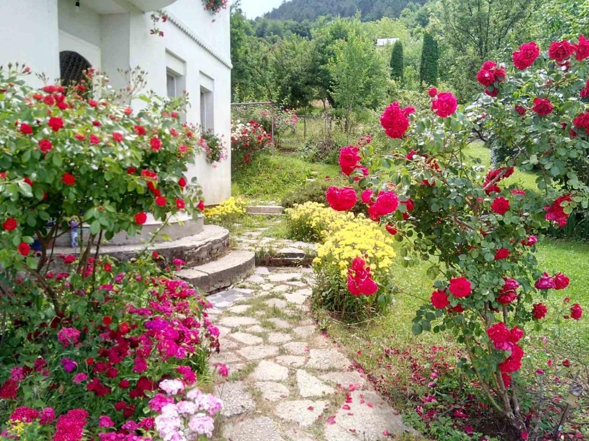 Lalic Rooms Sarajevo Exterior foto